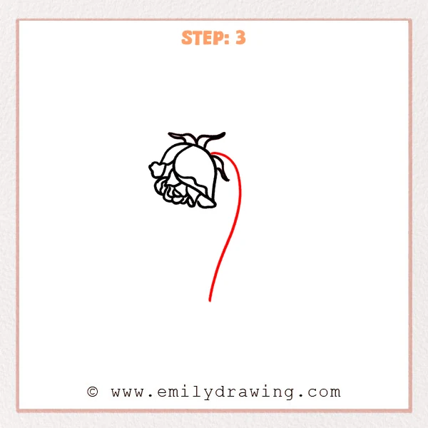 how to draw a dead rose - Step 3 of how to draw a dead rose adds a long curved stem line hanging down from the bud.
